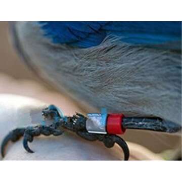 Honbay 200pcs Reusable 8mm Bird Leg Bands for Easy ID