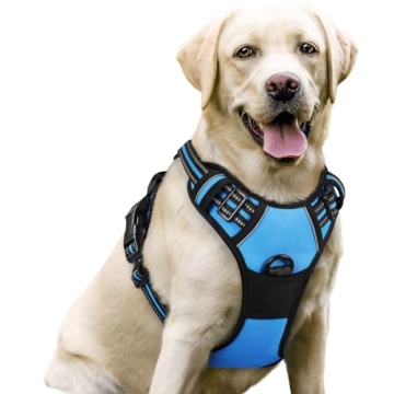Rabbitgoo Dog Harness: No-Pull Adjustable Vest with Reflective Features and Easy Control Handle