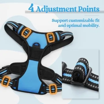 Rabbitgoo Large Dog Harness for Premium Comfort and Safety