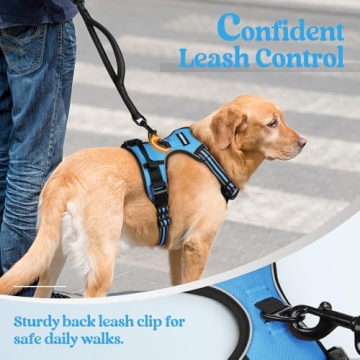Rabbitgoo Large Dog Harness for Premium Comfort and Safety