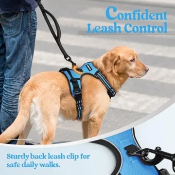 Rabbitgoo Large Dog Harness for Premium Comfort and Safety