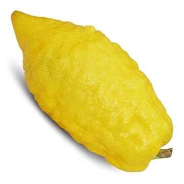 Lulav and Etrog Set for Sukkot Ultra-Mehudar - Lulav Esrog Haddassim Aravot - Arba Minim - Mehadrin ...