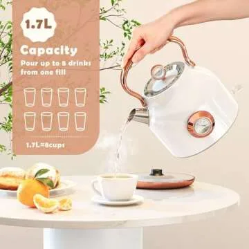 NESSGRAIM Retro Electric Kettle, 1.7L Stainless Steel Tea Kettle with Large Temperature Gauge, 1500W Fast Heating Hot Water Boiler with LED Indicator, Auto Shut-off & Boil-Dry Protection-Elegant White