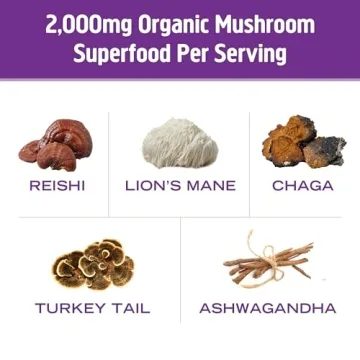 OM Mushroom Superfood Hot Chocolate Blend Mushroom Powder, 8.47 Ounce Canister, 30 Servings, Dutch Cocoa, 2g of Sugar, 25 Calories, Lion's Mane, Reishi, Chaga, Turkey Tail, Focus and Stress Support