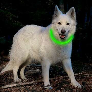 BSEEN LED Dog Collar - Rechargeable & Cuttable Safety Light
