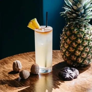 LEMONSODA Premium Highball Glass Set of 6 for Cocktails