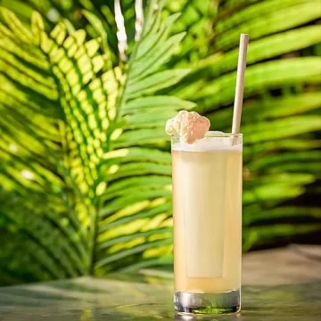 LEMONSODA Premium Highball Glass Set of 6 for Cocktails