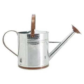 Arcadia Garden Products WC14 Classic Shiny Galvanized Metal Watering Can, Easy-Pour, Indoor and Outdoor, 2.6 gal