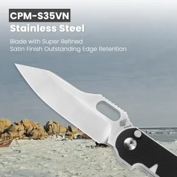 Kizer Cormorant EDC Folding Knife with S35VN Steel