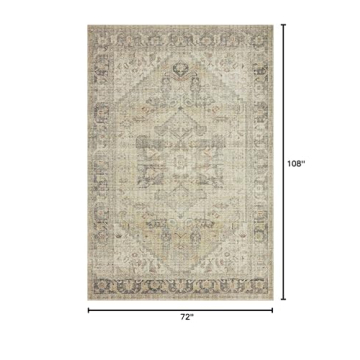 Loloi Skye Collection Durable Area Rug 6x9