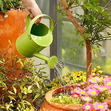 Sungmor 1.5L Green Metal Watering Can for Gardeners