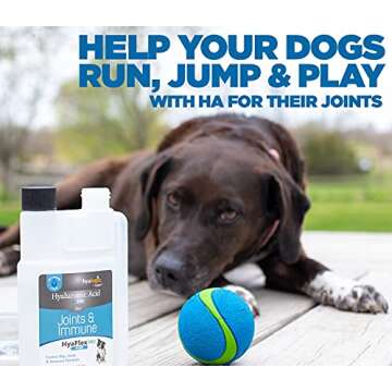 Canine Hyaluronic Acid + Zinc by Hyalogic - Joint & Immune Support, HyaFlex Pro Pure 8oz - Liquid Or...