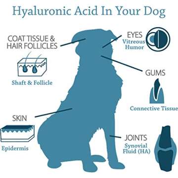 Canine Hyaluronic Acid + Zinc - Joint & Immune Support