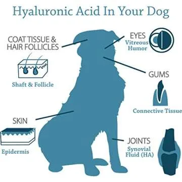 Canine Hyaluronic Acid + Zinc - Joint & Immune Support