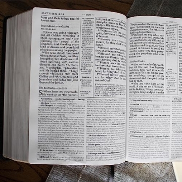 MacArthur NASB Study Bible Large Print Leather Indexed