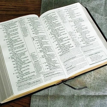 MacArthur NASB Study Bible Large Print Leather Indexed