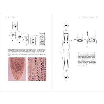Botany for Gardeners, 3rd Edition