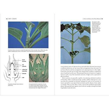 Botany for Gardeners, 3rd Edition