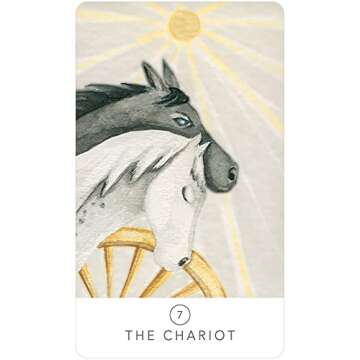 White Sage Tarot In A Tin