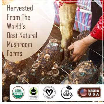 La Republica Instant Mushroom Coffee Organic (35 Servings), 100% Arabica Coffee with Full-Fruiting Lion's Mane, Reishi, Chaga, Cordyceps, Shiitake, Maitake, Turkey Tail