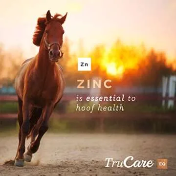 TruCare EQ Top-Dress Trace Mineral Blend for Horses (Methionine, Lysine, Zinc, Manganese, Copper, Cobalt)