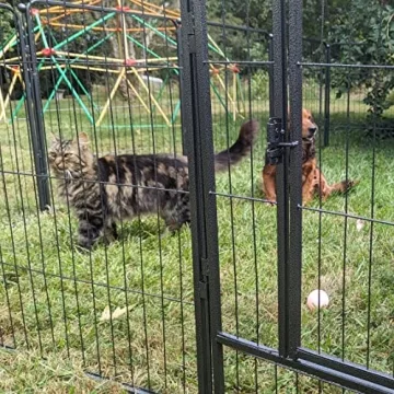 Durable Foldable Metal Dog Playpen for Indoor Outdoor Use