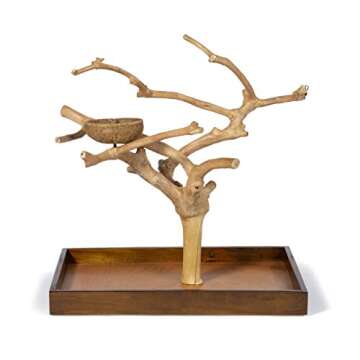 Coffeawood Tree Mini Table Top for Small Birds