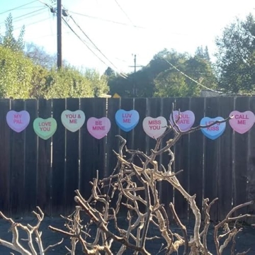VictoryStore Outdoor Valentine's Day Hanging Candy Hearts