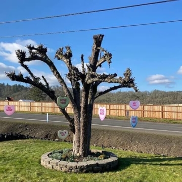 VictoryStore Outdoor Valentine's Day Hanging Candy Hearts