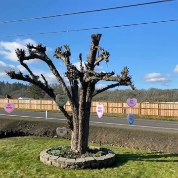 VictoryStore Outdoor Valentine's Day Hanging Candy Hearts