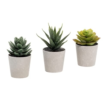 3 Mini Realistic Artificial Succulents for Home & Office Decor - Aloe, Echeveria, Haworthia