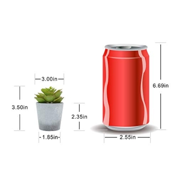 Mini Realistic Artificial Succulents Set for Home Office Decor