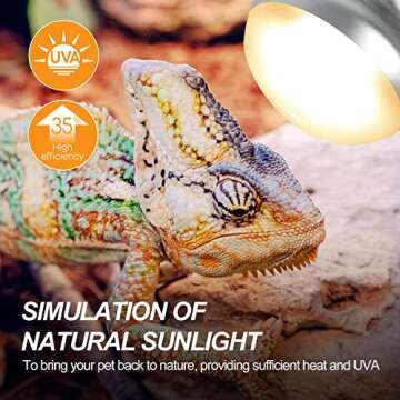 WACOOL Reptile Heat Lamp Kit for Day & Night Availabilities
