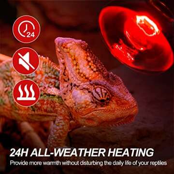 WACOOL Reptile Heat Lamp Kit for Day & Night Availabilities