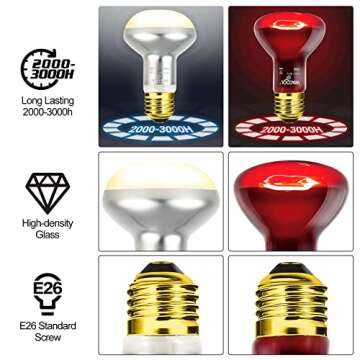 WACOOL Reptile Heat Lamp Kit for Day & Night Availabilities