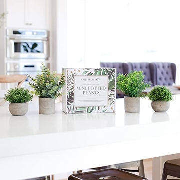 GreenCallow Mini Fake Plants Set for Home Decor