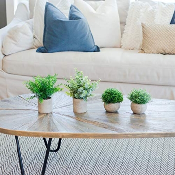 GreenCallow Mini Fake Plants Set for Home Decor