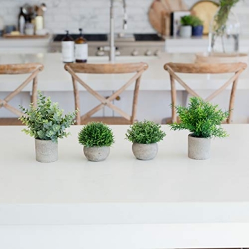 GreenCallow Mini Fake Plants Set for Home Decor