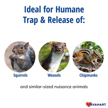Humane Havahart 1026 Trap for Squirrels and Small Animals