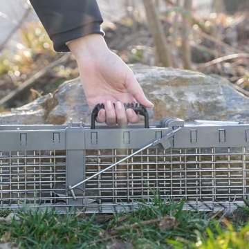 Humane Havahart 1026 Trap for Squirrels and Small Animals