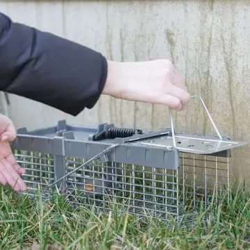 Humane Havahart 1026 Trap for Squirrels and Small Animals