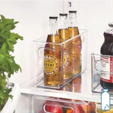 iDesign BPA-Free Kitchen Organizer Bin for Food Storage