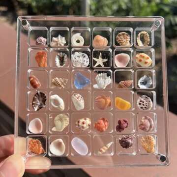 Stylish Eicxjui Acrylic Magnetic Seashell Display Box