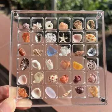 Stylish Eicxjui Acrylic Magnetic Seashell Display Box
