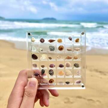 Stylish Eicxjui Acrylic Magnetic Seashell Display Box