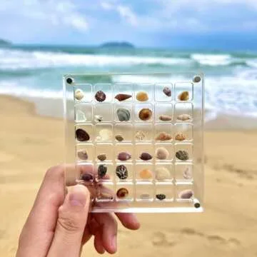 Stylish Eicxjui Acrylic Magnetic Seashell Display Box