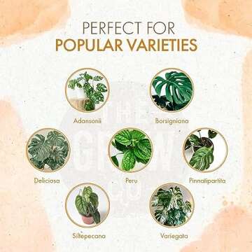 Monstera Plant Food - Organic Liquid Fertilizer for Indoor and Outdoor Monstera Plants - Nutrients f...