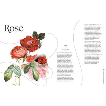 Flowers and Their Meanings A Unique Flower Dictionary