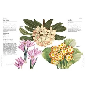 Flowers and Their Meanings A Unique Flower Dictionary