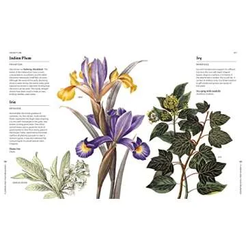 Flowers and Their Meanings A Unique Flower Dictionary